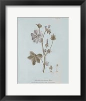 Conversations on Botany VII Blue Framed Print