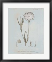 Conversations on Botany III Blue Fine Art Print