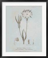 Conversations on Botany III Blue Fine Art Print