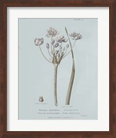 Conversations on Botany II Blue Fine Art Print