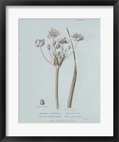 Conversations on Botany II Blue Fine Art Print