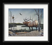 Bugling Elk Fine Art Print