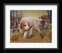 First Point Framed Print