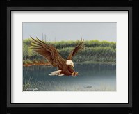 The Catch Fine Art Print