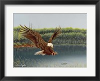 The Catch Fine Art Print
