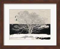 Silver Tree Fine Art Print