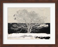 Silver Tree Fine Art Print