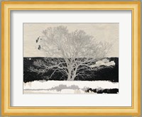 Silver Tree Fine Art Print