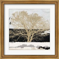 Golden Tree (detail) Fine Art Print