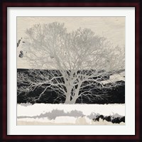 Silver Tree (detail) Fine Art Print