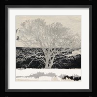 Silver Tree (detail) Fine Art Print