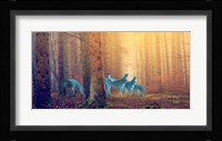 In the Woods Fine Art Print