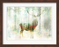 Lord of the Woods Fine Art Print