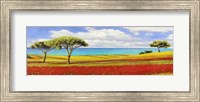 Mediterraneo Fine Art Print