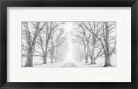 Tree Lined Road in the Snow Fine Art Print