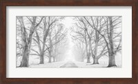Tree Lined Road in the Snow Fine Art Print