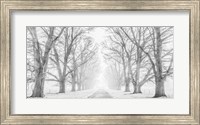 Tree Lined Road in the Snow Fine Art Print