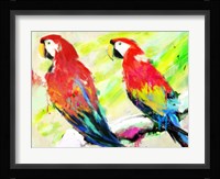 Ara Ara Fine Art Print