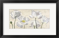 Poppies in White Fine Art Print