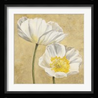 Poppies on Gold II Framed Print
