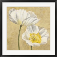 Poppies on Gold II Framed Print