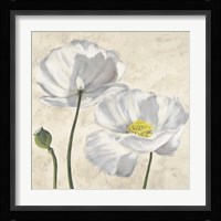 Poppies in White I Framed Print