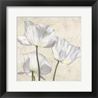 Poppies in White II Fine Art Print
