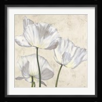 Poppies in White II Framed Print