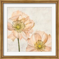 Poppies in Pink I Fine Art Print