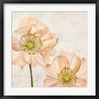 Poppies in Pink I Framed Print
