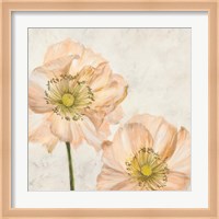 Poppies in Pink I Fine Art Print