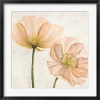 Poppies in Pink II Framed Print