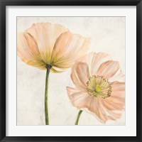 Poppies in Pink II Framed Print