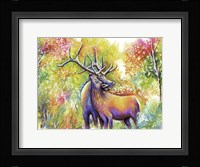 Elk Love Fine Art Print