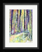 Redwoods Road Trip Fine Art Print