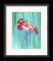 Flamingo Fine Art Print