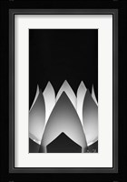 Flower Abstract Fine Art Print