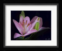 Intimate Fine Art Print