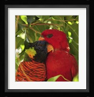 Sticking Together Fine Art Print