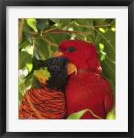 Sticking Together Fine Art Print