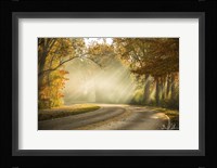 Autumn Drive Fine Art Print