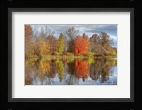Colors On The Lake Fine Art Print
