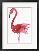 Flamingo Portrait I Framed Print