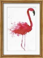 Flamingo Portrait II Fine Art Print
