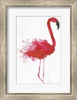 Flamingo Portrait II Fine Art Print