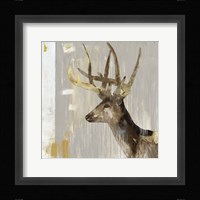 Stag I Framed Print