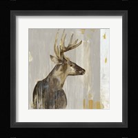 Stag II Framed Print