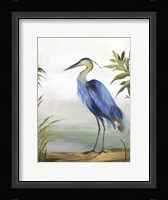 Blue Heron Fine Art Print
