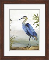 Blue Heron Fine Art Print