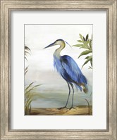 Blue Heron Fine Art Print